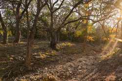 242 Model T Road Blanco TX 78606