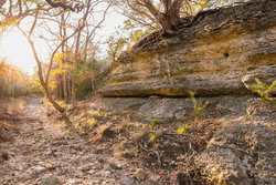 242 Model T Road Blanco TX 78606