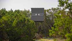 Junction TX