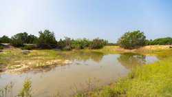 Junction TX