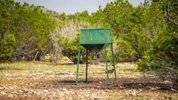 Junction TX