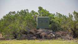 Junction TX