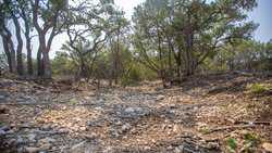 Junction TX