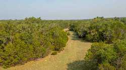 Junction TX