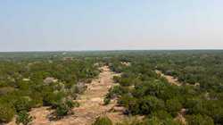 Junction TX