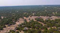 Junction TX
