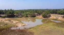 Junction TX