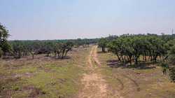 Junction TX