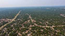 Junction TX