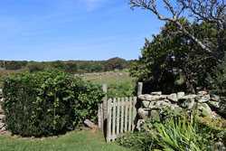 Chilmark MA 02535
