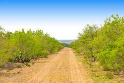 Tilden TX 78072