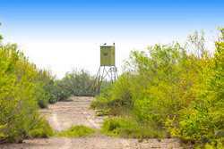 Tilden TX 78072