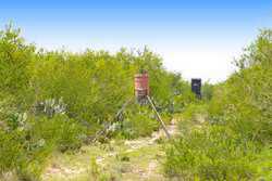Tilden TX 78072