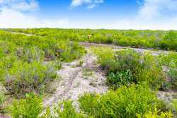Tilden TX 78072