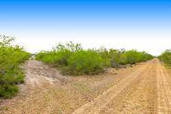 Tilden TX 78072