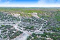Tilden TX 78072
