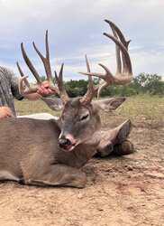 Brady TX 76825