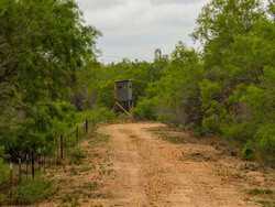 Pearsall TX 78061