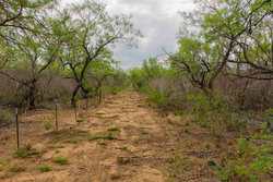 Pearsall TX 78061