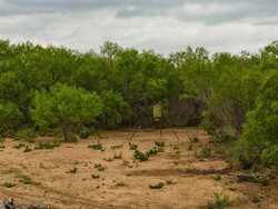 Pearsall TX 78061