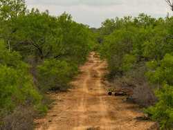 Pearsall TX 78061