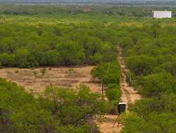 Pearsall TX 78061