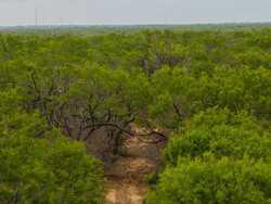 Pearsall TX 78061