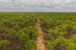 Pearsall TX 78061