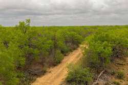 Pearsall TX 78061
