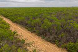 Pearsall TX 78061