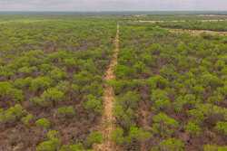 Pearsall TX 78061