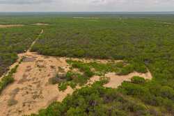 Pearsall TX 78061