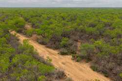 Pearsall TX 78061