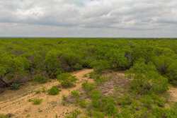 Pearsall TX 78061