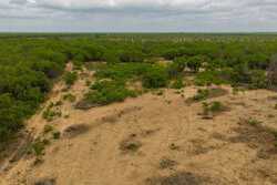 Pearsall TX 78061