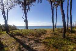 Vineyard Haven MA 02568