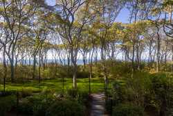 Vineyard Haven MA 02568
