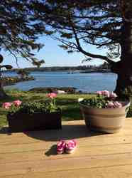 Vinalhaven ME 04863