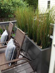 66 Franklin Provincetown MA 02657