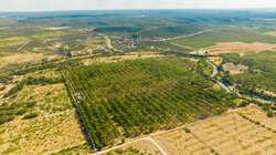 384 Kc 3121 Junction TX 76849