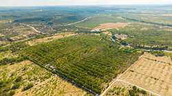 384 Kc 3121 Junction TX 76849