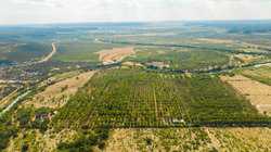 384 Kc 3121 Junction TX 76849