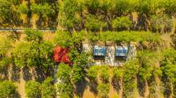 384 Kc 3121 Junction TX 76849