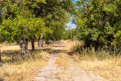 384 Kc 3121 Junction TX 76849