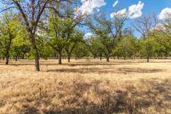 384 Kc 3121 Junction TX 76849