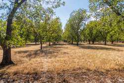 384 Kc 3121 Junction TX 76849