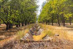 384 Kc 3121 Junction TX 76849