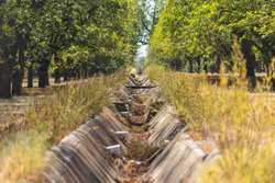 384 Kc 3121 Junction TX 76849