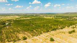 384 Kc 3121 Junction TX 76849