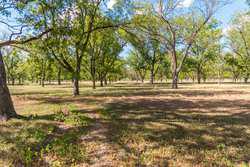 384 Kc 3121 Junction TX 76849